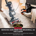 Shark NZ780UKT Anti Hair Wrap Plus Upright Pet Vacuum w