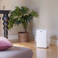 Woods MRD10GKIT Dehumidifier Kit - White