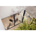 GUARDL1C_DFLEX Miele GuardL1C&Dflex Cat & Dog Flex Cylinder Vacuum - O