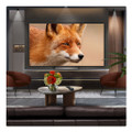 OLED77C56LB.AEK 2025 LG C5 77" OLED Evo AI 4K Smart TV