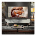 OLED65B56LA.AEK 2025 LG B5 65" OLED AI 4K Smart TV