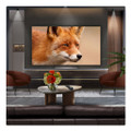 OLED65C56LB.AEK 2025 LG C5 65" OLED Evo AI 4K Smart TV