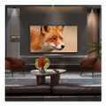 OLED48C56LB.AEK 2025 LG C5 48" OLED Evo AI 4K Smart TV