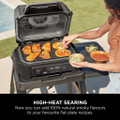 Ninja XSKOGXLFPLTEU Woodfire XL Flat Plate - Black