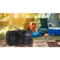 Sharp DR-P420BK Wireless DAB Radio - Black