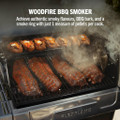 Ninja PG301UK FlexFlame Gas BBQ & Outdoor Cooking Syste