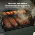 Ninja PG301UKGN FlexFlame Gas BBQ & Outdoor Cooking Sys