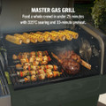 Ninja PG301UKGN FlexFlame Gas BBQ & Outdoor Cooking Sys