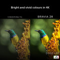 K50S25M2PB-U Sony K50S25M2PB.UKA 50" 4K BRAVIA 2 II Direct LED Googl