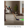 Dyson V16PISTANMLSUB DS60 Piston Animal Submarine™ we