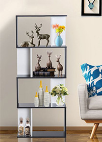 Shelves and Bookcases