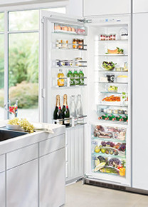 Integrated Fridges