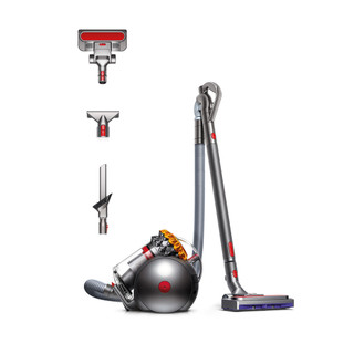 BIGBALLANIMAL2+ Dyson BIGBALLANIMAL2 Big Ball Animal 2 Vacuum Cleaner - Grey
