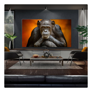 OLED65G56LS.AEK 2025 LG G5 65" OLED Evo AI 4K Smart TV - Stand