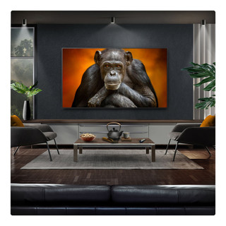 OLED55G54LW.AEK 2025 LG G5 55" OLED Evo AI 4K Smart TV - Wallmounted