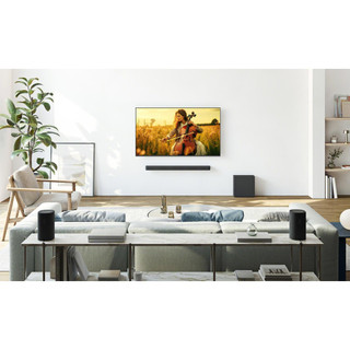 SARS8.CEJ Sony SARS8 Home Theatre - Wireless Rear Speakers - Blac