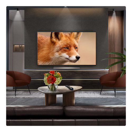 OLED48C56LB.AEK 2025 LG C5 48" OLED Evo AI 4K Smart TV