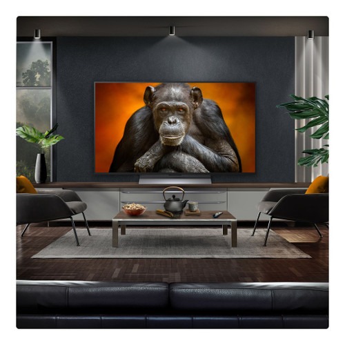 OLED48G56LS.AEK 2025 LG G5 48" OLED Evo AI 4K Smart TV - Stand