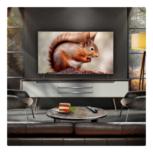 OLED55B56LA.AEK 2025 LG B5 55" OLED AI 4K Smart TV