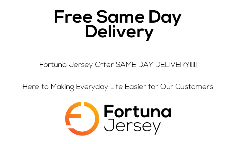 FREE SAME DAY DELIVERY visual data 3