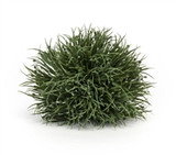 GRASS HALF ORB-6"