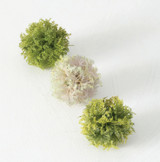 MOSS DECORATIVE ORB BOX OF 3