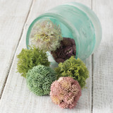 MOSS DECORATIVE ORB BOX OF 3