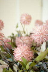 BOTANICA # 2375 BLUSH 