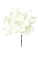 White Floral Botanical 6"