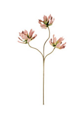 Blush Floral - 3 Blooms - 36"