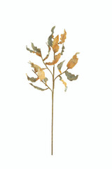 Botanica #3269 - 39" tall