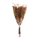 Dried Natural Fern Bunch
