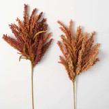Autumn Seed Grass Stem