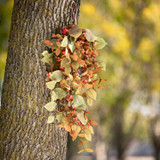 BITTERSWEET & FOLIAGE SWAG