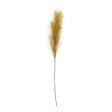  Pampas Grass Plume, Chartreuse - 48"H 
