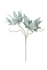 Botanica Green