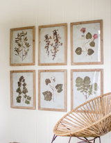 Leaf Print Under Glass, 6 Styles
