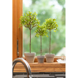 Mini Leaf Topiary Tree