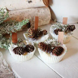 Wax Cake Fire Starters