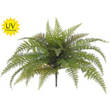 Leatherleaf Fern Bush-UV Protect