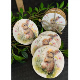 Daisy Bunny Coasters Set of 4
