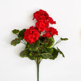 18" Geranium Bush