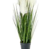 32" Potted Pampas Plant