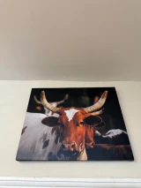 Western Longhorn Mama Canvas 16x20
