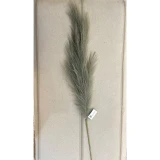 Green Pampas Grass 43"