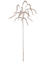 AMARANTHUS SPRAY- GOLD