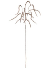 AMARANTHUS SPRAY- GOLD