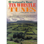 110 Ireland's Best Tin Whistle Tunes