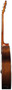 Rathbone No.2 - Cedar / Rosewood Electro