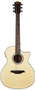 Bromo Appalachia Series Electro Acoustic Guitar BAA2CE
